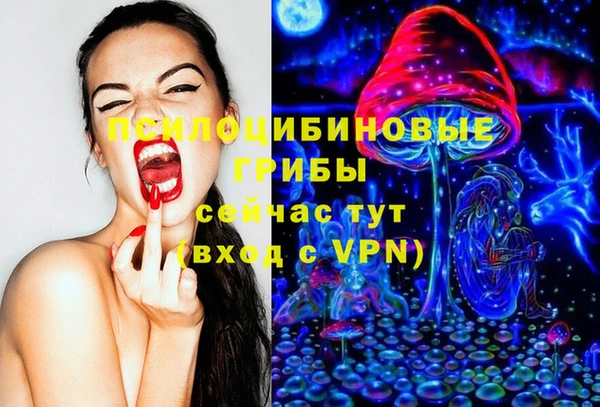 дживик Вязники