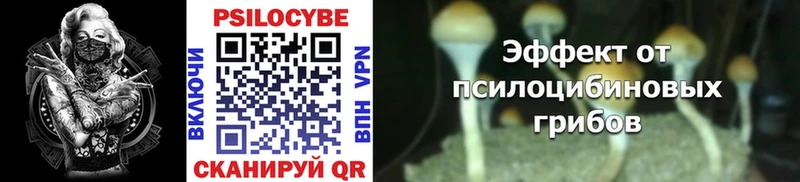 где продают наркотики  Назарово  MEGA   Галлюциногенные грибы Psilocybine cubensis 