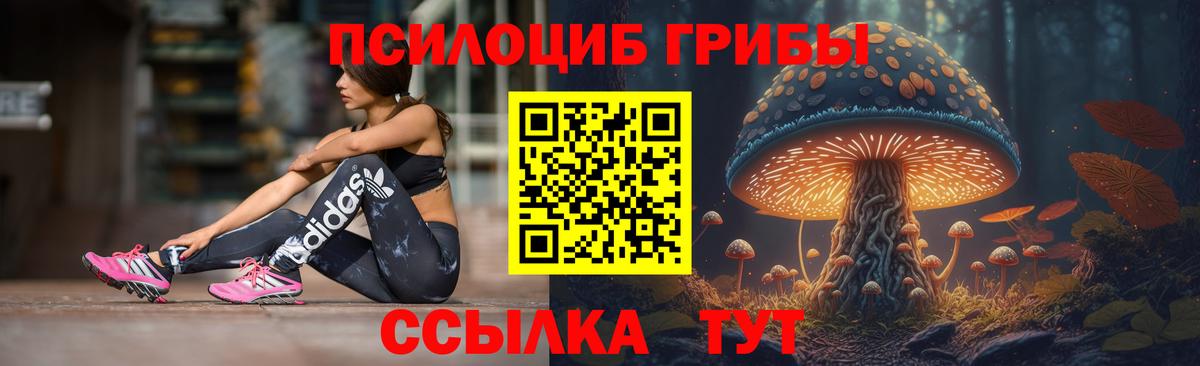 Галлюциногенные грибы GOLDEN TEACHER Назарово