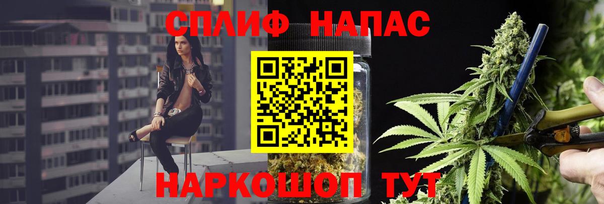 Каннабис план Назарово